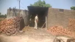 बुलढाणा जिल्ह्यातील जळगांव जामोद तालुक्यातील पिंपळगाव काळे शिवारात ही घटना घडली आहे.
