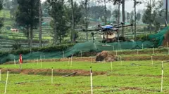 டிரோன் மூலம் பூச்சிக்கொல்லி தெளிப்பு