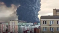 Күбөлөр жарыялаган видеолордон алынган сүрөт