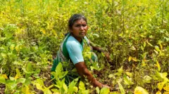 ગુજરાત સરકારનું બજેટ 2026 , સામાજિક ન્યાય અને અધિકારિતા, શિક્ષણ, મહિલા અને બાળવિકાસ, બીબીસી ગુજરાતી