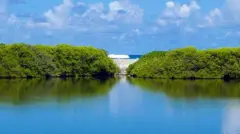 කළපු ධීවරයකු ලෙස රැකියාව ආරම්භ කර, මේ වන විට දශක තුනක පමණ කාලයක් තිස්සේ මෙරට සිටින මුල් පෙළේ කඩොලාන සංරක්ෂකයෙකු වන ඩග්ලස් තිසේරා ලංකා කඩොලාන කෞතුකාගාරයේ ආරම්භය ගැන බීබීසී සිංහල වෙත කියා සිටියේය.