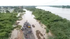 தென் பெண்ணை