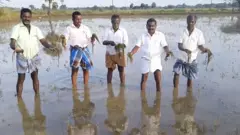 விவசாயிகள்