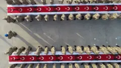 کرمان
