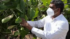 ઝાડ પાસે વ્યક્તિનો ફોટો