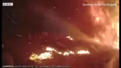 森林火災