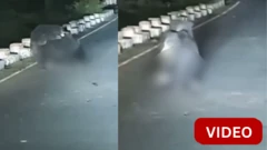 விபத்தில் சிக்கிய கரடிக்குட்டி ஒன்றை தாய் கரடி ஒன்று எழுப்ப முயன்றது. 