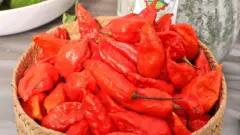 ભૂત જોલોકિયા