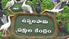 ఉప్పలపాడు పక్షుల కేంద్రం