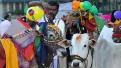 సంక్రాంతి పండగ