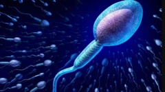 รูปสเปิร์มตัวใหญ่สีฟ้า