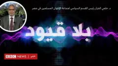  الدكتور حلمي الجزار رئيس المكتب السياسي للإخوان المسلمين في مصر
