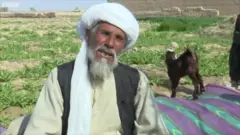 کندهار