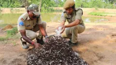 కవ్వాల్ అభయారణ్యంలో ఉప్పు కుప్పలు