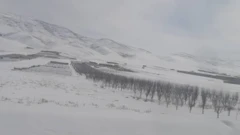 وردګ