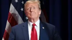 அமெரிக்கவாழ் தமிழர்கள், அமெரிக்க அதிபர் தேர்தல் 2024, டொனால்ட் டிரம்ப், கமலா ஹாரிஸ்
