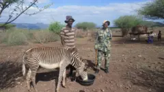 የቦረና ብሔራዊ ፓርክ እንስሳት በውሃ እና የግጦሽ ሳር በማጣት ምክንያት መጎዳታቸው ተገለፀ