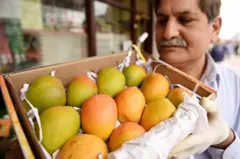 आंबा