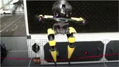 తాడు మీద నడుస్తున్న రోబో