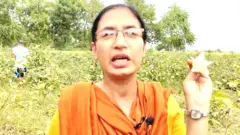 ਗੁਲਾਬੀ ਸੁੰਡੀ ਦਾ ਕਹਿਰ