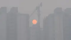 Делі