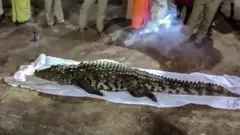 கேரளாவில் கோயில் முதலை மரணம்