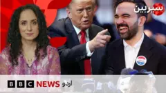 سیربین، ممدانی