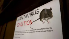 Cartel con la foto de un ratón y una advertencia en idioma inglés.