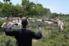 Ndị ọchịehi