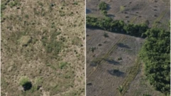 Colagem de fotos mostra área árida e outra com mais verde