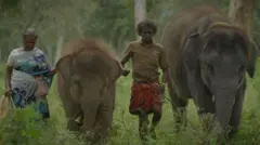 ஆஸ்கர் விருது