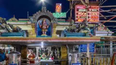 பழனி கோயில், முருகன், த.வெ.க அரசு, தி.மு.க
