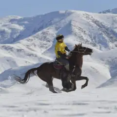 К﻿өкбөрүчү... Сүрөттө башка улакчы тартылган