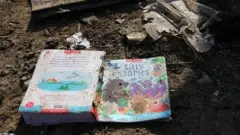 Ukraine plane crash in Iran