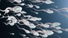 விந்தணு