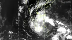 திட்வா புயல், தமிழ்நாடு, இலங்கை, இந்தியா