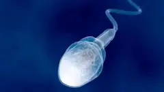 Da'yarta ayaa ugu badan sida warbixintu muujinayso dadka hurdada ku biya-baxa.