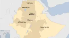 Shanoon magaalaa aanaa Qimbibiiti