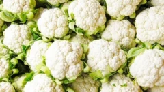 Une tête de choux-fleur