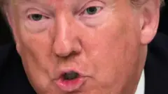 Retrato de Donald Trump