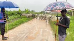 Fulani na kiwon a jihar Akwa Ibom