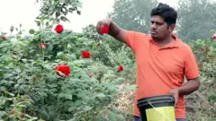 महाराष्ट्र