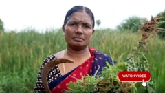 બીબીસી ગુજરાતી, બીબીસી, ગુજરાત, નક્સલવાદ, 