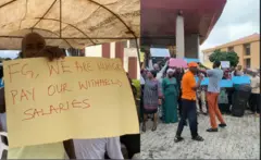 Àwọn olùfẹhonuhan