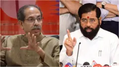 'ऑपरेशन टायगर'मध्ये किती तथ्य?