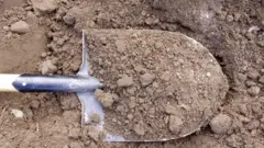 ሓመድን ባዴላን