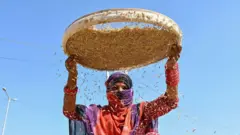 अमेरिकेचे राष्ट्राध्यक्ष डोनाल्ड ट्रम्प हे 2 एप्रिलपासून भारताविरुद्ध टॅरिफची घोषणा करू शकतात.