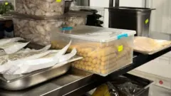 Контейнери з їжею