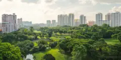 Panorama taman hijau besar di Singapura yang dikelilingi gedung-gedung.