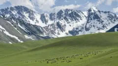 Жайыт